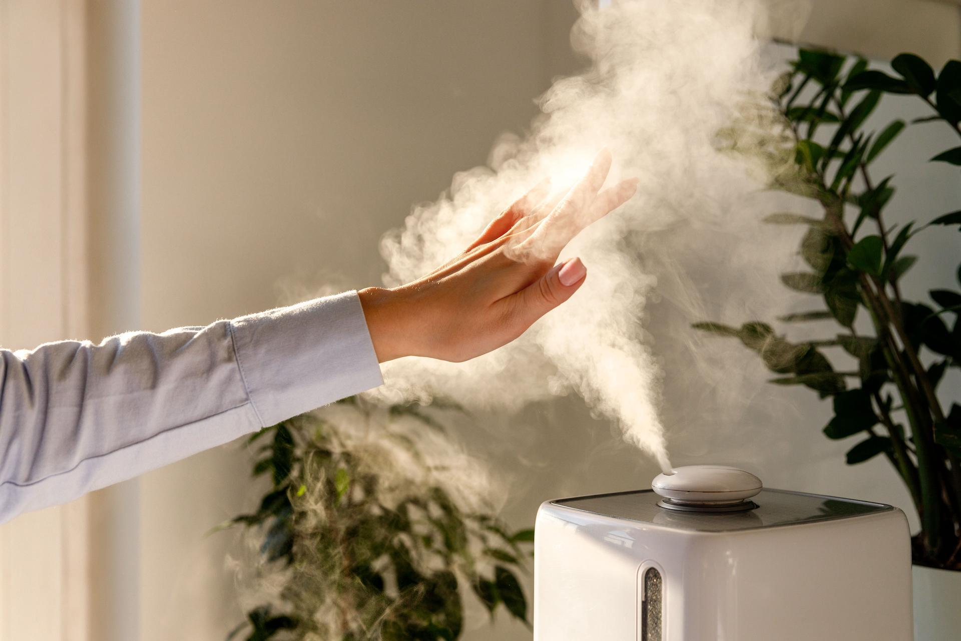 Humidifier deals for allergies