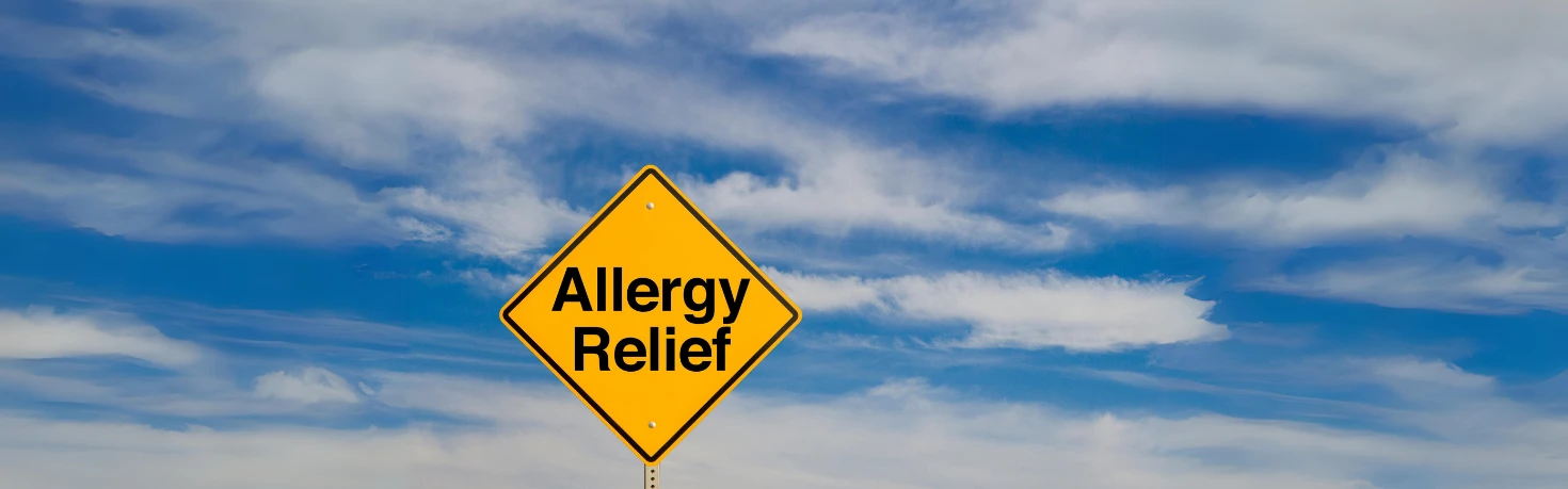 Photo of natural allergy relief