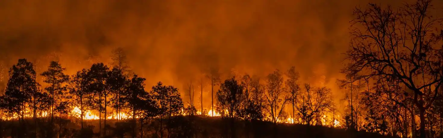 US wildfire season 2024