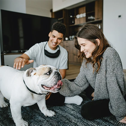 Pet visits